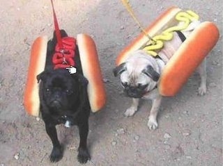 Hot Dogs
