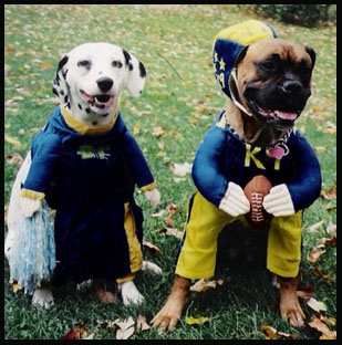 Football Dogs
