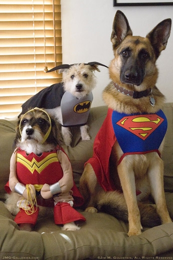 Super Dogs
