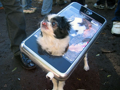 IPhone Dog 