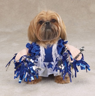 Dallas doggie cheerleader
