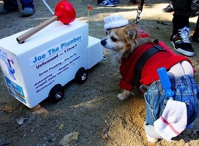 Doggie plumber butt
