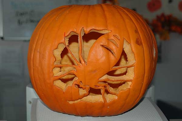 Bug pumpkin