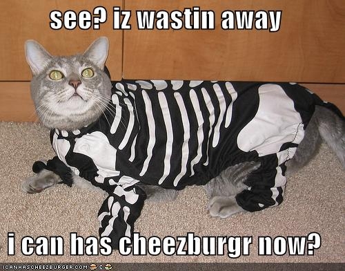 Cat in skeleton costume