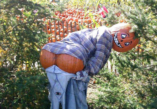 Funny Pumpkin Statue