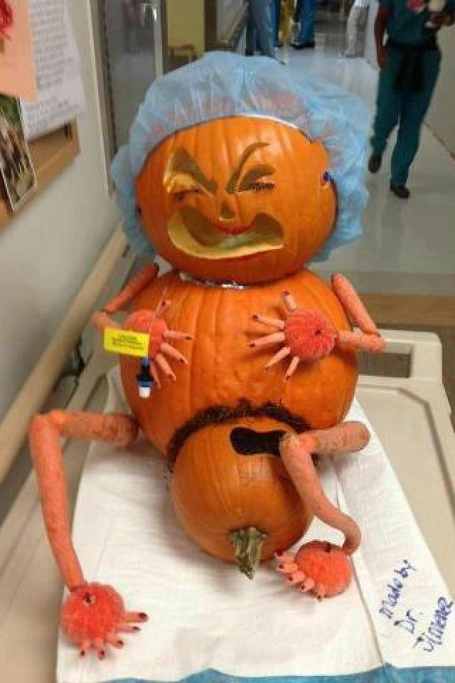Pumpkin Giving Berth!! Really Funny