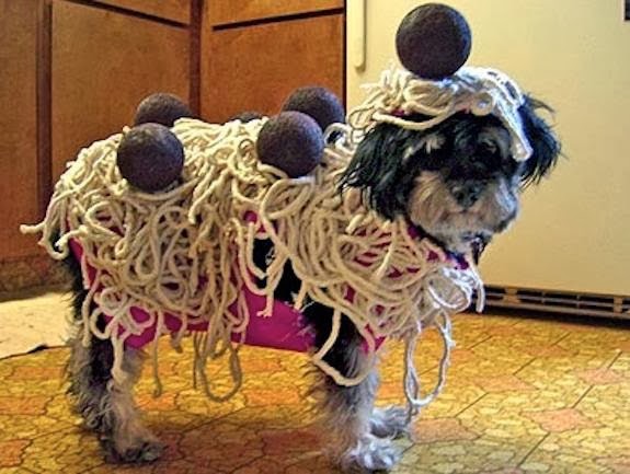 Dog Has Meatballs For Halloween Costume
