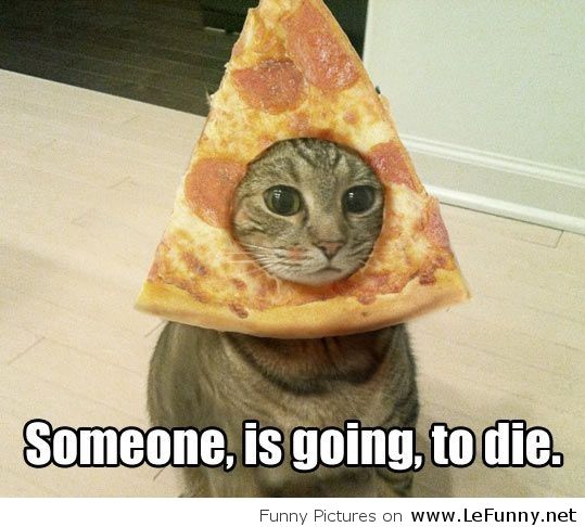 Cat Got Pizza Hat For Halloween