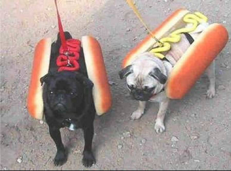 Hot! Hot! Dogs