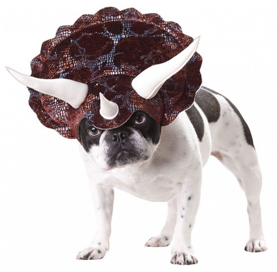 Triceratops Dog Costume