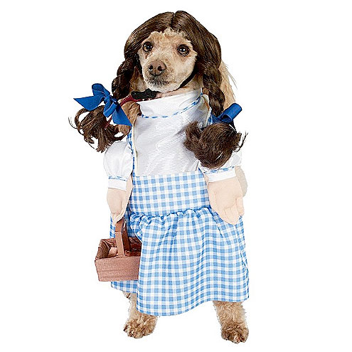 Dog Dressed Up as Little Girl