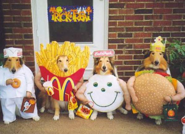 Halloween Dogs in Fast Food Outfits