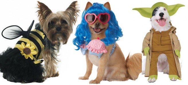 Dogs Partying in Funny Halloween Costumes