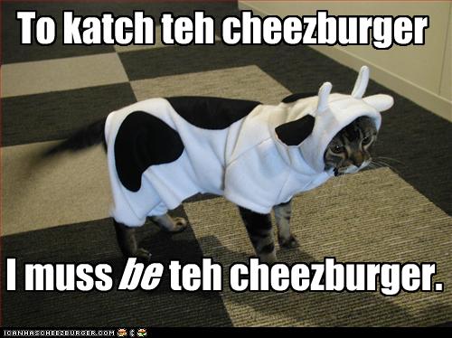 Cat Dressed Up as Cow. Tricked!!!