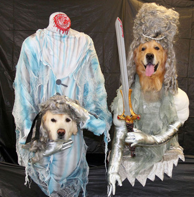 Funny Dogs in Scary Costume