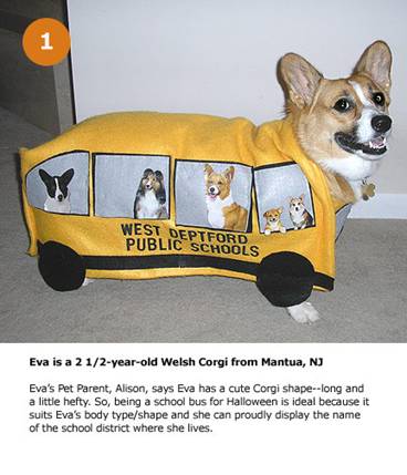 That's A Really Cool Dog Bus
