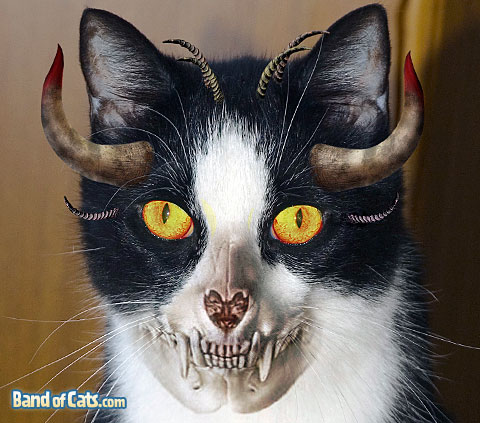Halloween_Devil-Cat
