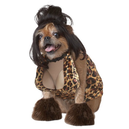Dog Got A Sexy Costume For Halloween