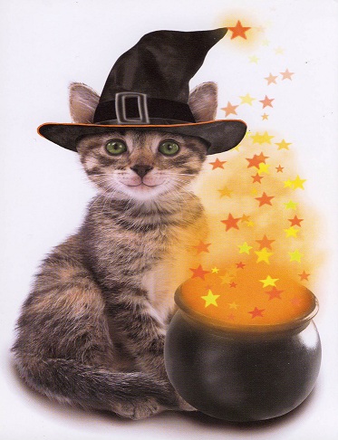 Tabby Halloween Cat