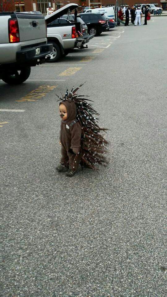 Baby Porcupine Halloween Costume