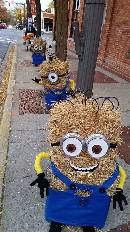 Minion Hay Bales