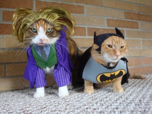 Cats in Batman Characters