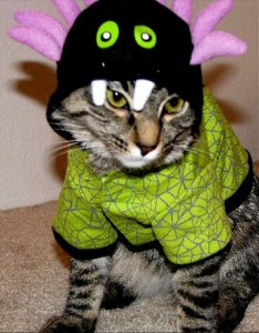 Funny Cat in a Fancy Halloween Costume