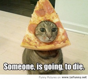 Cat Got Pizza Hat For Halloween