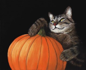 Halloween Cat Scares!!