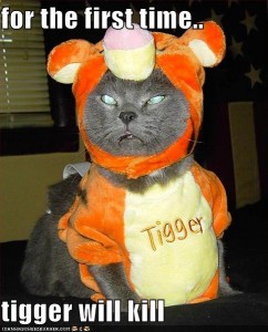 Cat Looks Really Angry in Tiger Outfit
